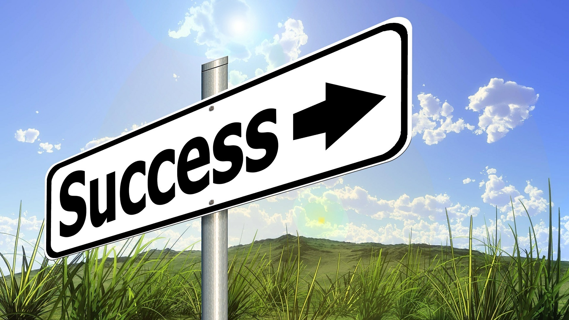 success (2).jpg
